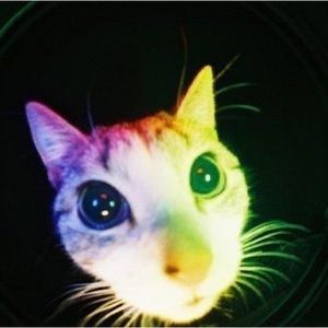 Meet your Posher, Emily victoria